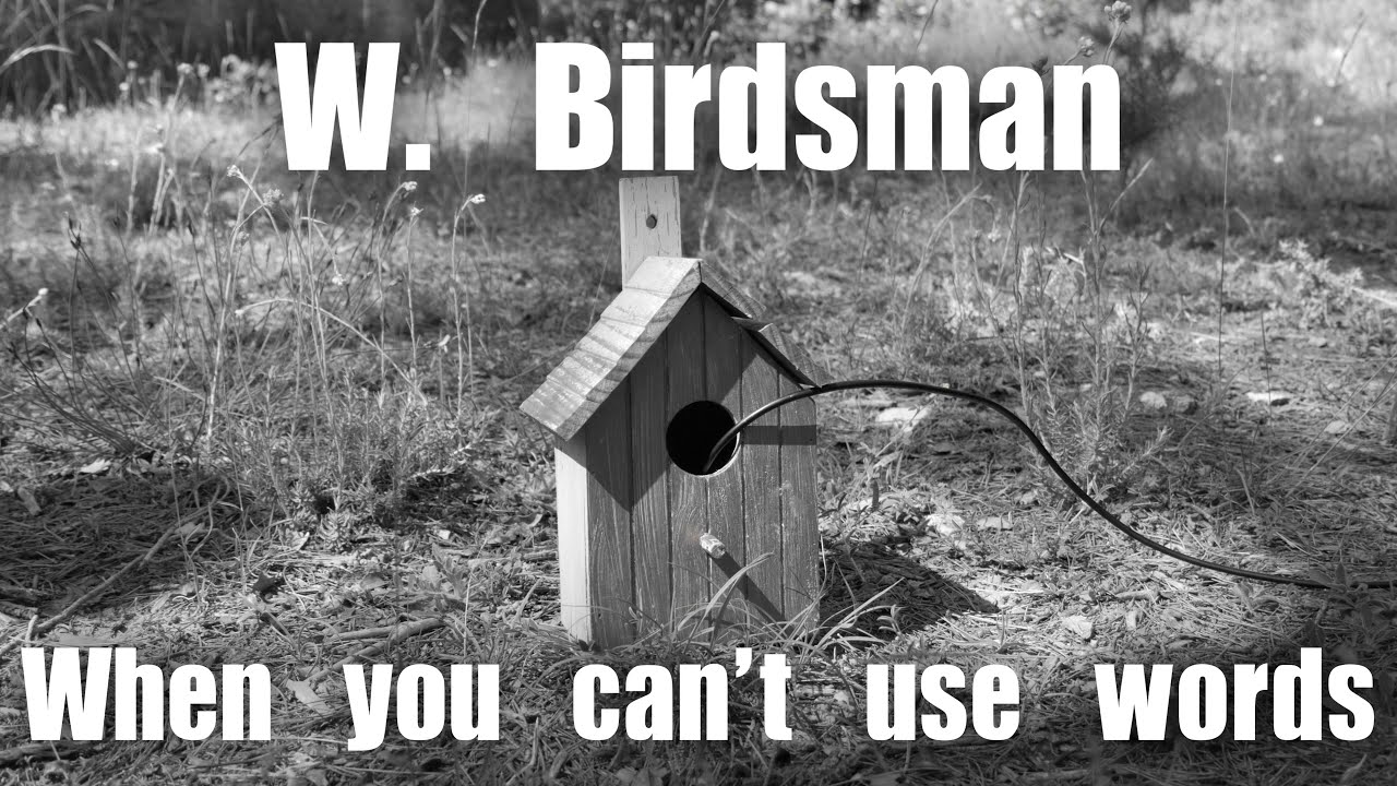 W. Birdsman - When you can't use words (Clip)