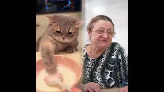 Я хочу представить вам больше интересных видео.