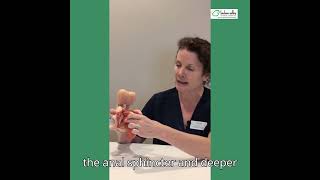 Pelvic Health Physical Therapy Men's Health