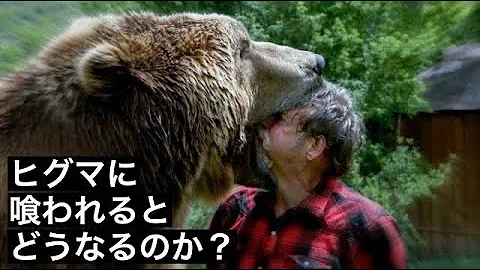 تحميل グリズリー研究家夫妻 Mp4 Mp3 تحميل グリズリー研究家夫妻 Mp4 Mp3