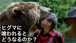 【死闘】ヒグマに喰われるといかにして命を奪われるのか？