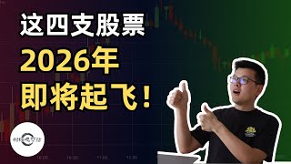 从10万到25万美元：我的2025年终复盘 | 2026美股精选，这4只股票即将起飞｜财经观察站 #美股分析 #科技股 #期权 #META #ZETA #ONON #EOSE
