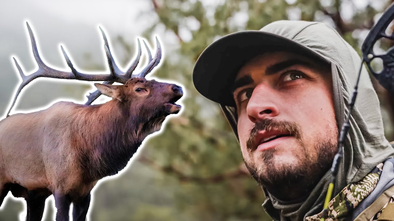 BOWHUNTING BUGLING BULLS IN NEW MEXICO YouTube