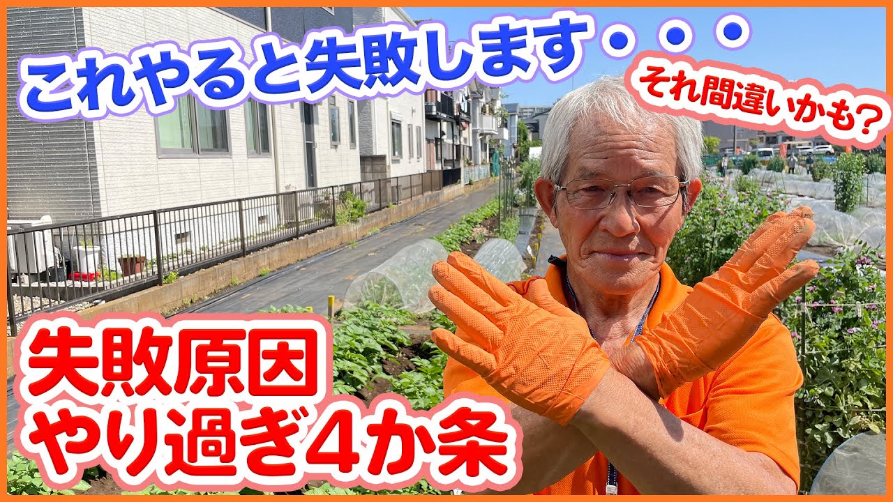 王道夏野菜の栽培で絶対マスターしたい きゅうり ナス ピーマン トマトの正しい水やり方法 大きく育てるコツも大公開 家庭菜園 ジョウロ Youtube