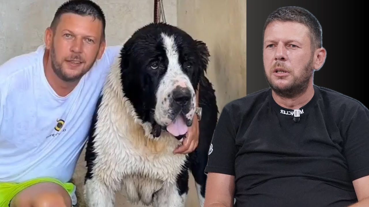 E kafshoi qeni 3 herë, historia horror e Tan Brahimit: Më kaluan fytyrat e fëmijëve para syve..