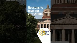 Five from the Hive: Reasons to Love Our Curriculum