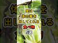 【㊗️60万再生達成❗️】実は体の毒を出してくれる食べ物5選　#健康 #雑学 #予防医療 #医療 #予防 #デトックス