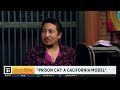 Prison Cat: A California Model