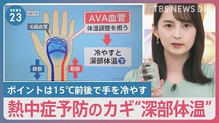 「女性が倒れて目を開けない」東京で熱中症搬送116人　熱中症予防のカギは“深部体温” 中学校では部活動の生徒を守る取り組み【news23】｜TBS NEWS DIG
