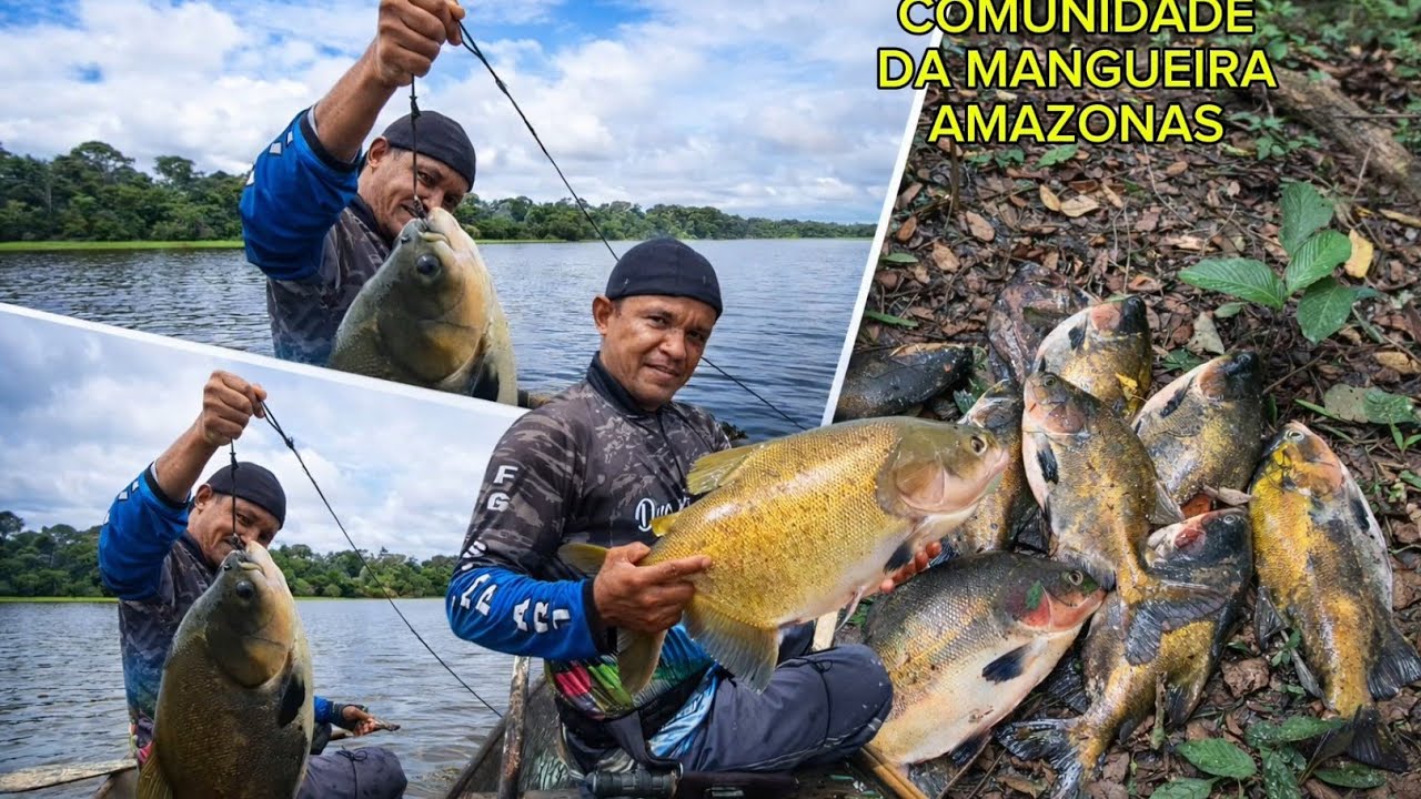 PESCARIA NO CANIÇO LAGO DO AÇAÍ 