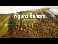 Figura Renata - Balada Penerka