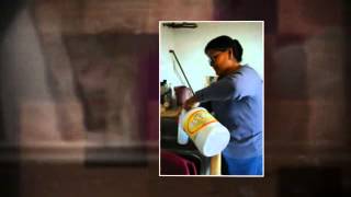 Termites Management Long Beach CA