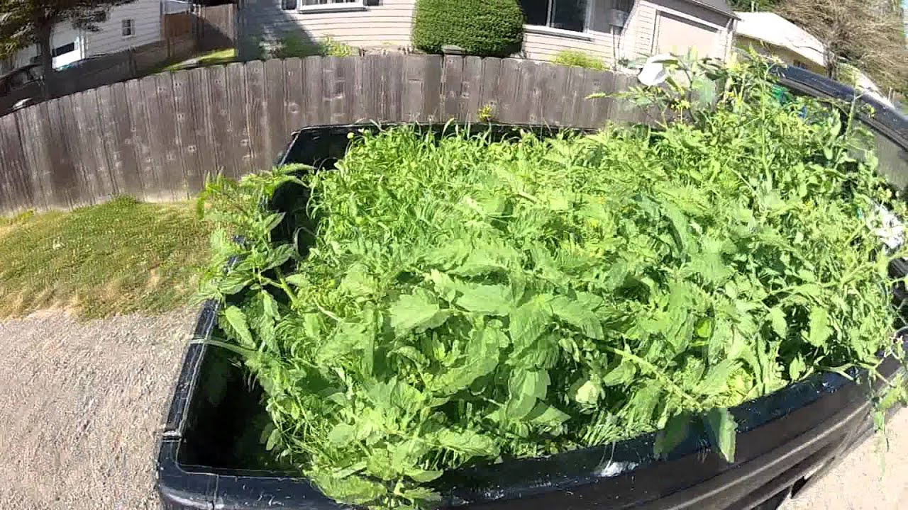 Garden Truck YouTube