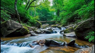 Best River Reflections | Piano Harmonies to Find Inner Peace