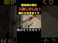 [介護]認知症の母が入院しました！＃Shorts