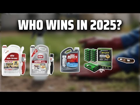 The Top 5 Best Black Widow Killer in 2025 - Must Watch Before Buying!
