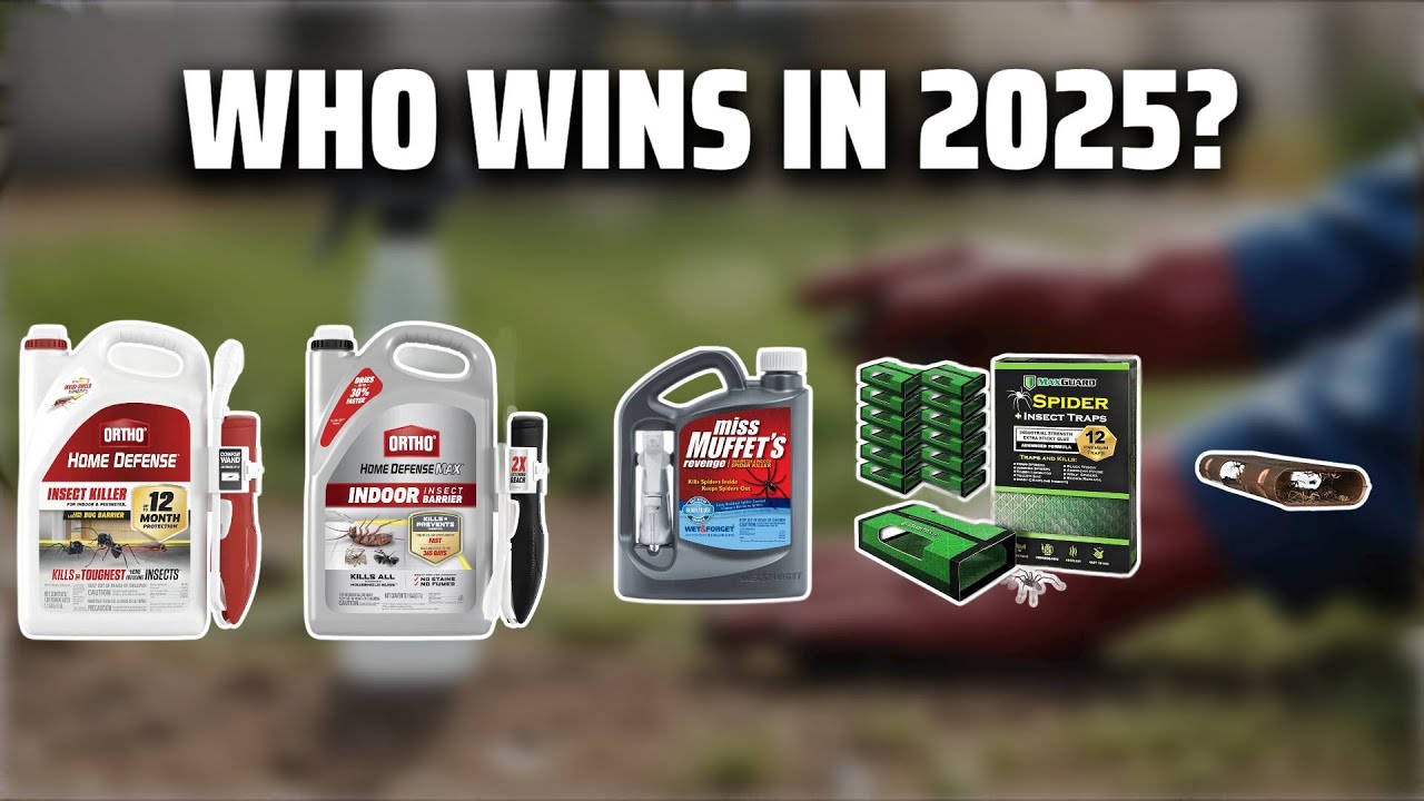 The Top 5 Best Black Widow Killer in 2025 - Must Watch Before Buying!