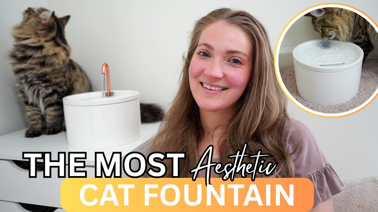 Viral TikTok Ceramic Cat Water Fountain Review | Aesthetic + Functional? 🐾💧