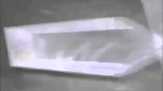 Don Cornelius Productions Tribune Entertainment