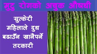 कुरिलो खेतीबाट करोडौ कमाई यसरि गर्नुहोस || Krishi Sandesh About Asparagus Farming