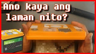 ReadyGo Car Battery Teardown Review - LiFePO4 Car Battery [Tagalog]