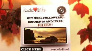insta-like.net - get more instagram likes Net Worth