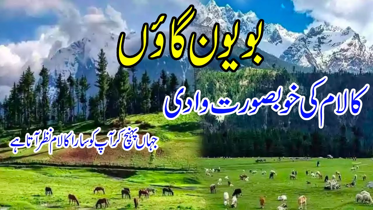 Boyun Village green top Kalam Sawat Altaf Vlogs
