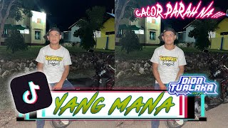Download Lagu DJ YANG MANA DVTCH FYP TIKTOK!!! MP3