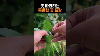 포장지 사지 마세요! 나뭇잎 한 장으로 만드는 역대급 꽃 포장 🌿 #art