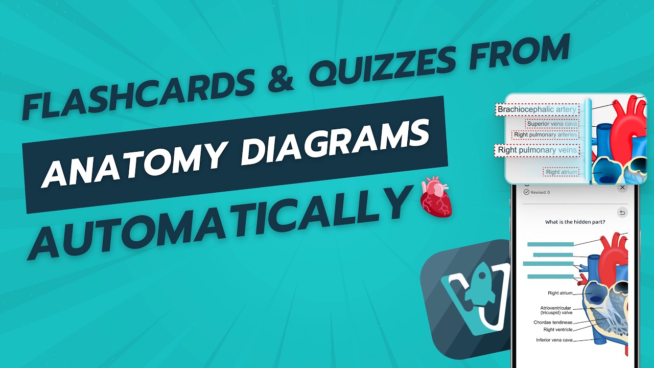 Flashcards and Quizzes from Anatomy Diagrams in seconds with automatic ...