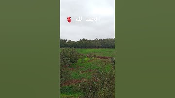 سورة الأحزاب #سورة_الاحزاب #قناة_القارىء_اسلام_صبحي #quran #elmulquranعلم #لايك #اكسبلور #الشيخ #