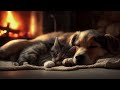 Fireplace Sounds with Sleeping Cat and Dog 🐱🐶 4 Hours Cozy Ambience