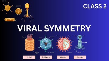 L2.Viral symmetry