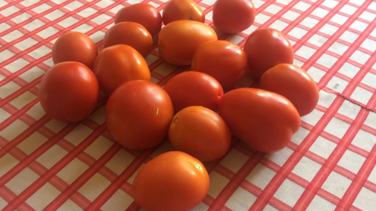 Быстрая Заморозка ТОМАТОВ На Щи! * fast freezing of tomatoes