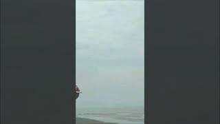 Jawa punya tradisi membunuh tanpa menyentuh