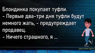 💎Закончился Всемирный Потоп...Сборник Свежих,Смешных До Слёз Анекдотов,Для Супер Настроения!