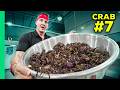 Eating Every Crab In Asia Eating Every Crab In Asia