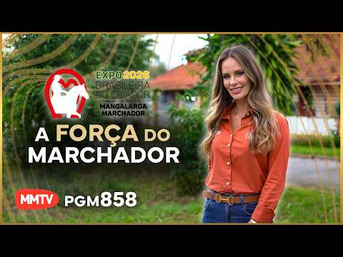 MMTV 858 – 22/03/2026