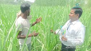 shaharnpu district ka video vajhra nava Bharath fertilizers Ltd rewari