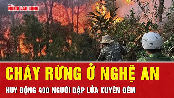 Cháy rừng thông ở Nghệ An, huy động hơn 400 người dập lửa xuyên đêm | Tin tức