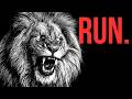 Why You Should Be Terrified of African Lions