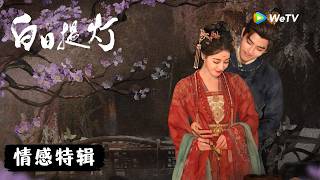 【情感特辑】《白日提灯》Love Beyond the Grave｜从宿命拉扯到双向守护；从温柔情深到热血并肩