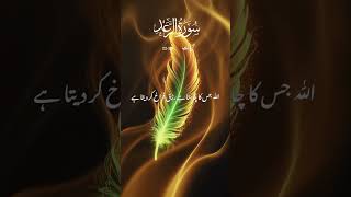 Surah Ra'Aad #shorts