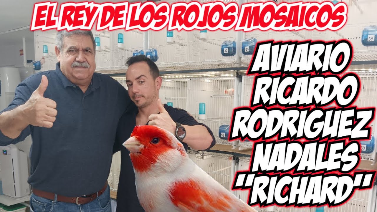 EL REY DE LOS MOSAICOS RICARDO RODRIGUEZ NADALES 