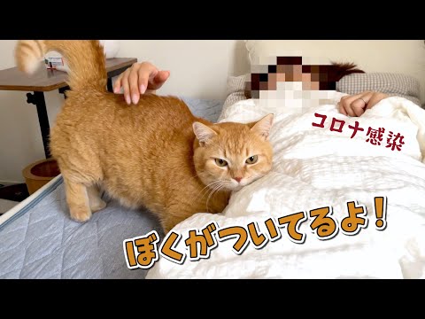 コロナに感染したママを看病してくれる愛猫たちが優しすぎた…