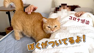 コロナに感染したママを看病してくれる愛猫たちが優しすぎた…