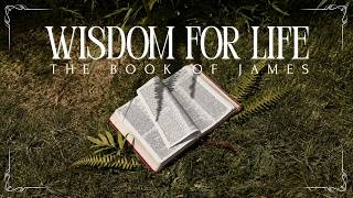 Sunday 16th August | Book of James - Week 1 | Andrew Dishroon