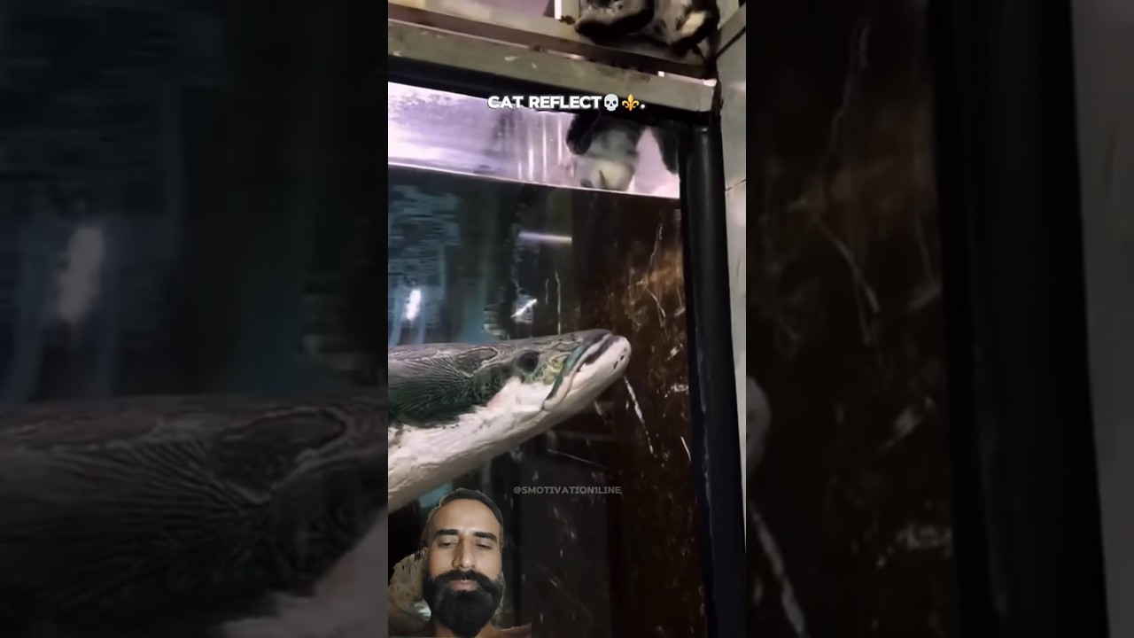 I Tested the Future of Health Tech 