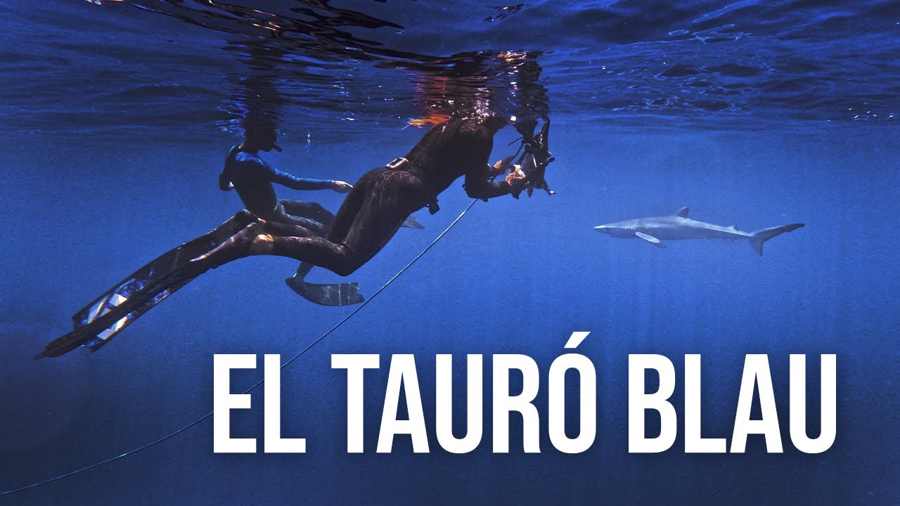 El TAURÓ BLAU al Mediterrani🦈