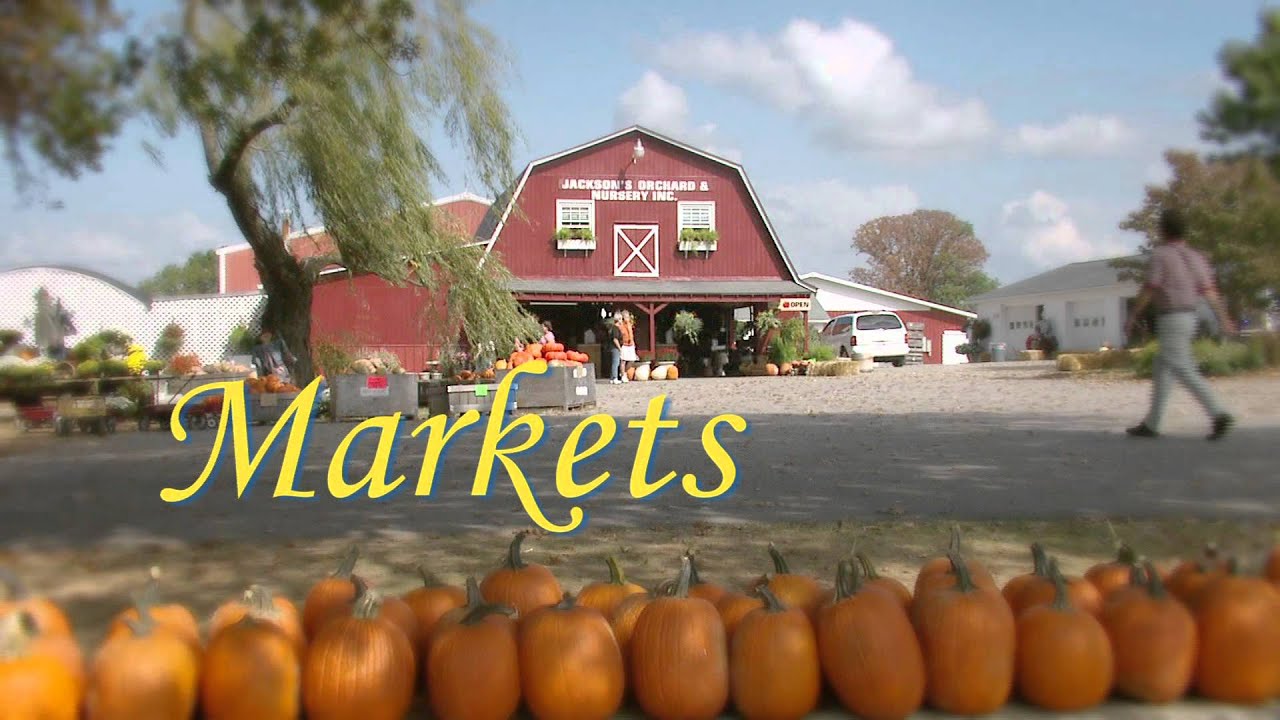 Bluegrass & Backroads Promotional Video